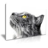 Lovely Pet Cat Canvas Printed Painting for Children Room Decoration