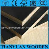 Shuttering Board/Phenolic Board/Plywood Sheet/Construction Plywood