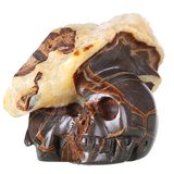 Geoge Turtle Stone Human Skull Carving (0V08)