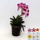 Artificial Potted Flower, Imitative Silk Orchid