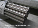 ASTM P6 Tool Steel with High Quality (UNS T51606)