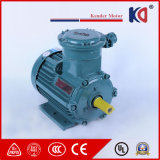 Fireresistant Explosion-Proof Three Phase Electric AC Motor