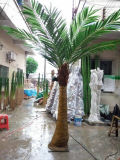 Artificial Coconut Tree for Home Decoration