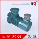 Changing Frequency Regulating Speed Electric Motor