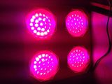 High Power, 300W with Full Spectrum LED Grow Light, Equal to 600W HPS/HID