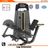 Leg Extension / Gym Equipment / Fitness Equipment