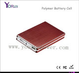 High Capacity Portable Power Bank 9600mAh for iPad (YR096)