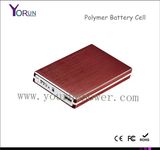 High Capacity Portable Power Bank 9600mAh for iPad (YR096)