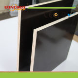 Waterproof Film Faced Plywood with Phenolic Glue