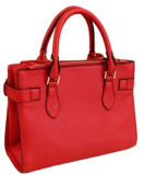 Fashion Handbag (JZ19006)