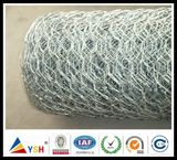 Galvanized Hexagonal Wire Netting (20years factory)