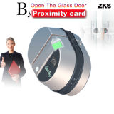 Special Keyless Office Biometric Electronic Fingerprint Lock