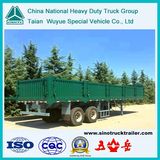 40'platform Semi-Trailer with Side Wall Pane (TAZ9250)