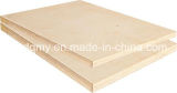 Poplar Plywood for Bulgaria Market