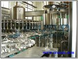 Automatic Apple Juice Filler for 500ml Pet Bottles