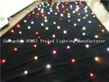 3*4LED Twinkling Starcurtainrgbw LED Star Curtain LED Star Cloth Ledstar Backdrop