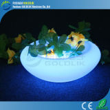 Party Style LED Fruit Tray Decoration