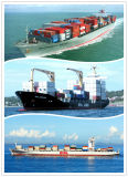 Your Reliable Shipping Agent (20'ft/40'ft/40'HQ) From China to New Zealand