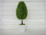 Artificial Plastic Potted Flower (XD14-242)