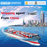 Shipping Agent From Shenzhen, Guangzhou, Shanghai, Ningbo, Tianjin, Qindao China