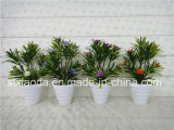 Artificial Plastic Potted Flower (XD15-381)