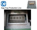 Paper Pulp Egg Tray Machine / Waste Paper Egg Tray Machine / Large Capacity Egg Tray Machine