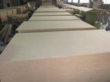 1220X2440mm Stadnard Size of Raw MDF Board