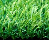 Home & Garden Landscaping Artificial Grass (TMC50)