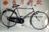 Beautiful Traditional Bicycle for Hot Sale (SH-TR099)