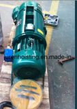 1t Electric Wire Rope Hoist