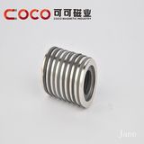 Special Motor Magnetic Material/ Common Motor Material