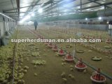 Poultry Feeder and Drinker for Broiler and Breeder (MRS10)