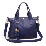 Shoulder Fashion Removable Shoulder Strap Handbag (MD25569)