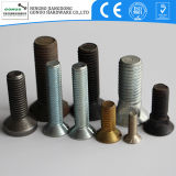 China Made Various Kinds of Countersunk Bolt