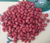 New Crop Good Quality Red Skin Peanut Kernels