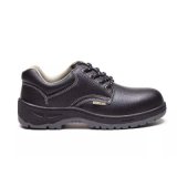 Hot Sale Industrial Working Professional PU Footwear Safety Shoes