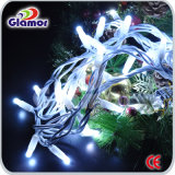 CE LED Holiday String Light for Outdoor Use