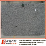 Granite Slabs - China Spray White