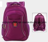 Computer Laptop Notebook Business Pack Backpack Bag (CY8860)