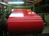 Prepainted Galvanized Steel Coil