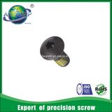 China Factory Decorative Screw Fasteners