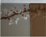 6mm Euro Bronze Reflective Glass/Window Glass/Building Glass