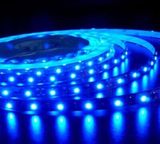 LED Strip Light (3528-120 blue)