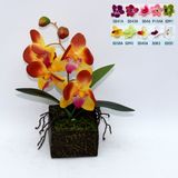 Artificial Potted Flower, Imitative Silk Orchid