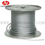 AISI 304 & AISI 316 Stainless Steel Wire Rope