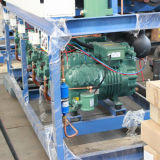Carlyle Reciprocating Type Parallel Compressor Unit for Marine Cold Storage