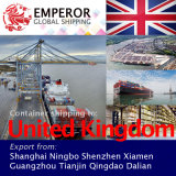 Sea Freight Shipping From China to United Kingdom UK