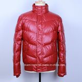 Men's Down Jacket (DM1391)