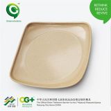 Round Plate Size Plate Biodegradable Plate Eco-Friendly Plate
