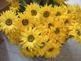 Real Touch Artificial Sunflower